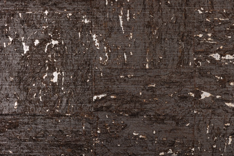 Close-up of Obsidian Bark black cork wallcovering showing irregular cream flecks, horizontal bark striations, and matte near-black surface